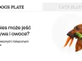 Jamnik z marchewką w pysku. Dowiedz się, co może jeść pies, aby był zdrowy i szczęśliwy.