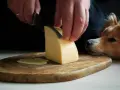 Pies patrzy z nadzieją, gdy kroisz ser żółty. Czy pies może jeść ser żółty?