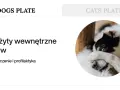 Piesek z zasłoniętymi oczami. Temat: Pasożyty wewnętrzne u psów, objawy, leczenie i profilaktyka. Toksokaroza to jeden z nich.