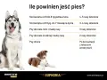 Ile razy dziennie karmić psa? Tabela podpowiada: szczenięta 4-5 razy, dorosłe psy 2-3 razy, chore po konsultacji z weterynarzem.