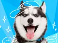 Uśmiechnięty husky w czapce z daszkiem. Ta rasa psa na e jest gotowa na przygodę, z niebieskimi oczami i wystawionym językiem.