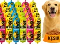 Najlepsza karma dla szczeniaka golden retriever – uniknij błędów w diecie