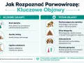 Ilustracja przedstawia objawy parwowirozy u psa: brak apetytu, apatia, wymioty, biegunka, odwodnienie i gorączka.