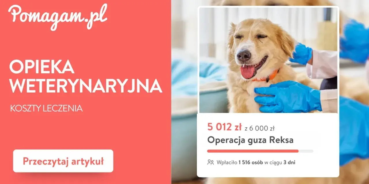Pomagam.pl: Opieka weterynaryjna i koszty leczenia. Dowiedz się, ile kosztuje behawiorysta dla psa i jak pomóc.