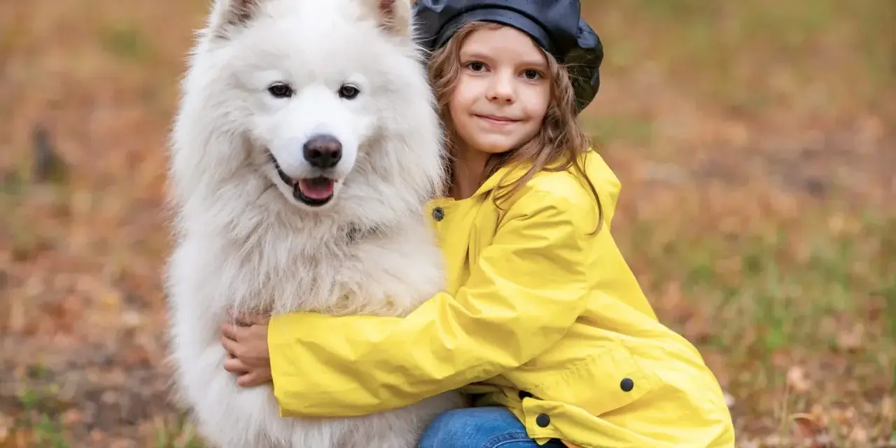 Dziewczynka w żółtej kurtce przytula puszystego samoyeda.