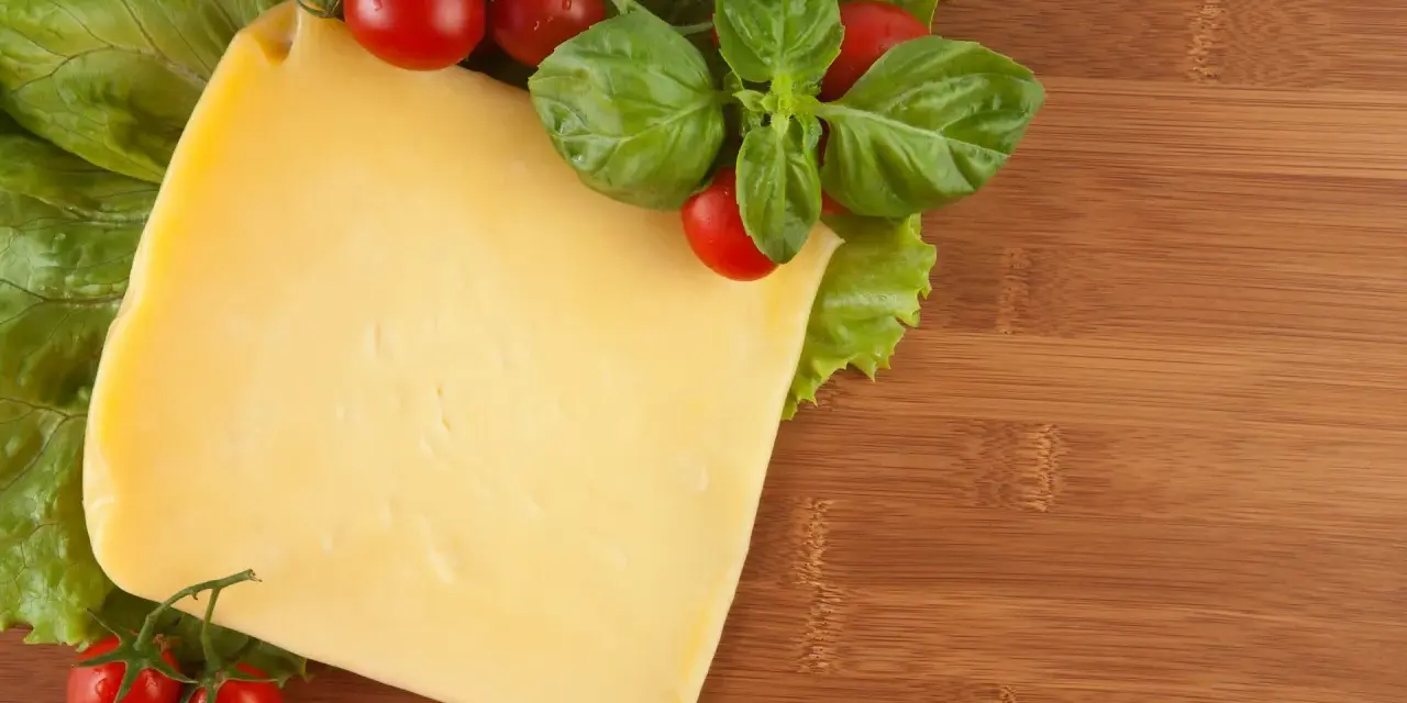 Czy pies może jeść ser? Bezpieczne opcje i zagrożenia dla zdrowia
