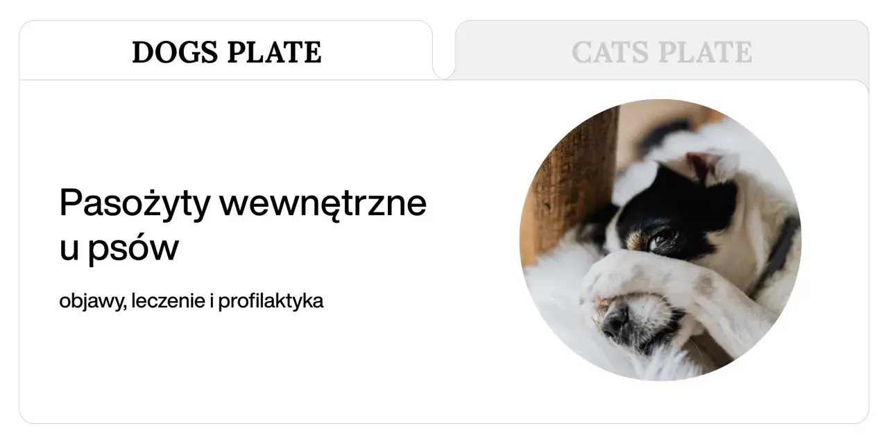 Piesek z zasłoniętymi oczami. Temat: Pasożyty wewnętrzne u psów, objawy, leczenie i profilaktyka. Toksokaroza to jeden z nich.