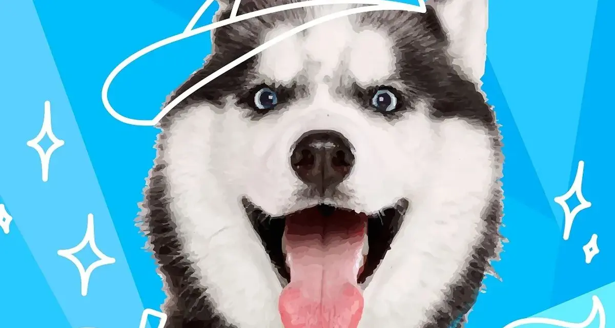 Uśmiechnięty husky w czapce z daszkiem. Ta rasa psa na e jest gotowa na przygodę, z niebieskimi oczami i wystawionym językiem.