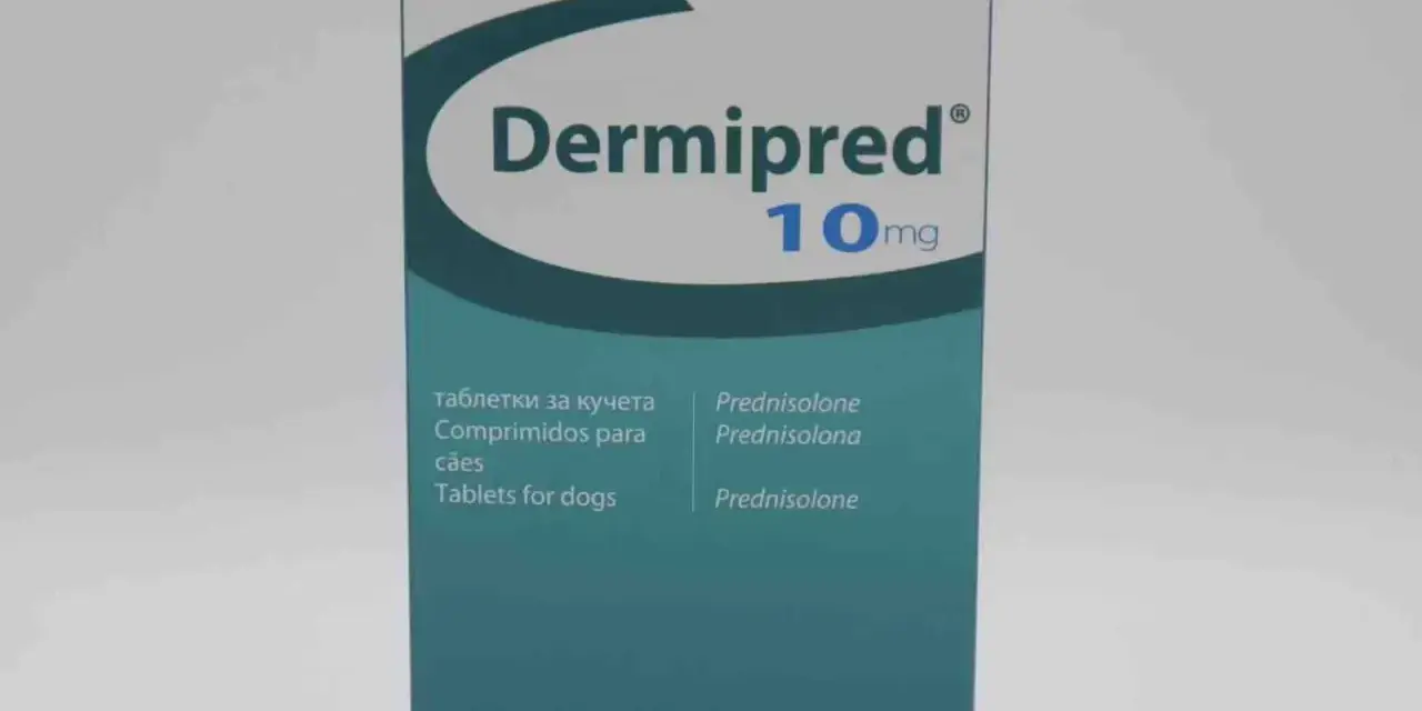 Opakowanie leku Dermipred 10mg, zawierające tabletki z prednizolonem dla psów.
