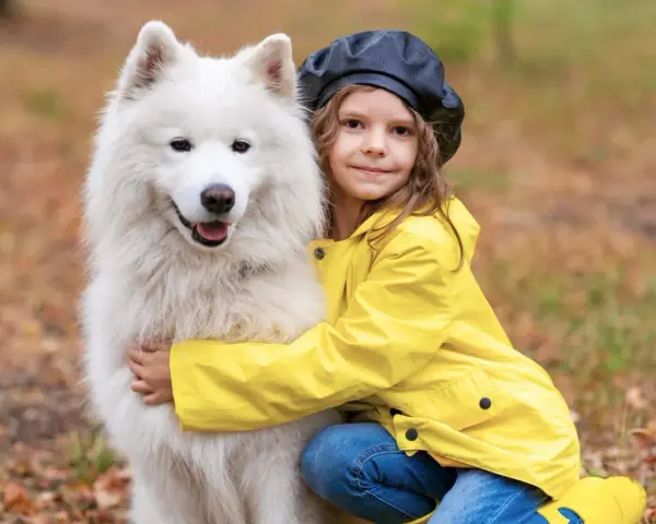 Dziewczynka w żółtej kurtce przytula puszystego samoyeda.