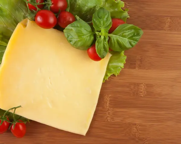 Czy pies może jeść ser? Bezpieczne opcje i zagrożenia dla zdrowia