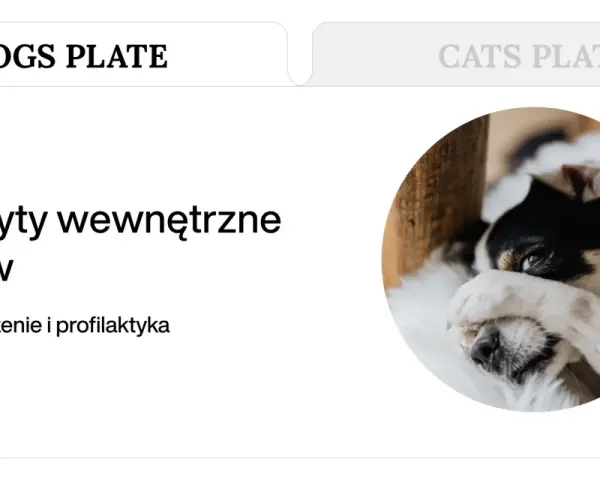 Piesek z zasłoniętymi oczami. Temat: Pasożyty wewnętrzne u psów, objawy, leczenie i profilaktyka. Toksokaroza to jeden z nich.