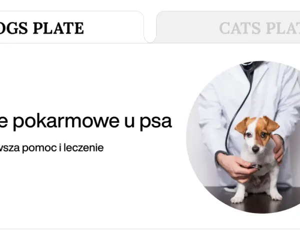 Weterynarz bada psa, który może mieć zatrucie pokarmowe. Tekst informuje o objawach, pierwszej pomocy i leczeniu.