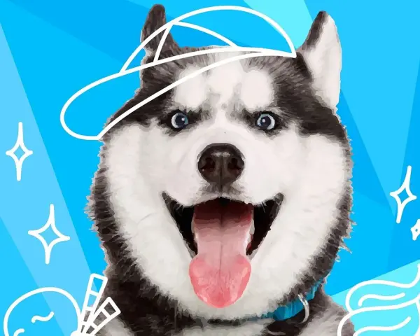 Uśmiechnięty husky w czapce z daszkiem. Ta rasa psa na e jest gotowa na przygodę, z niebieskimi oczami i wystawionym językiem.