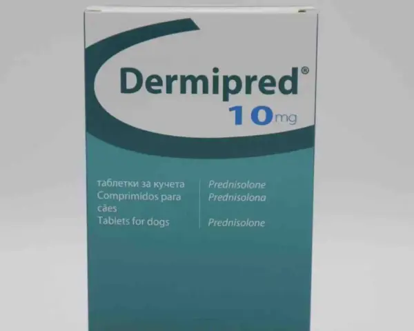 Opakowanie leku Dermipred 10mg, zawierające tabletki z prednizolonem dla psów.