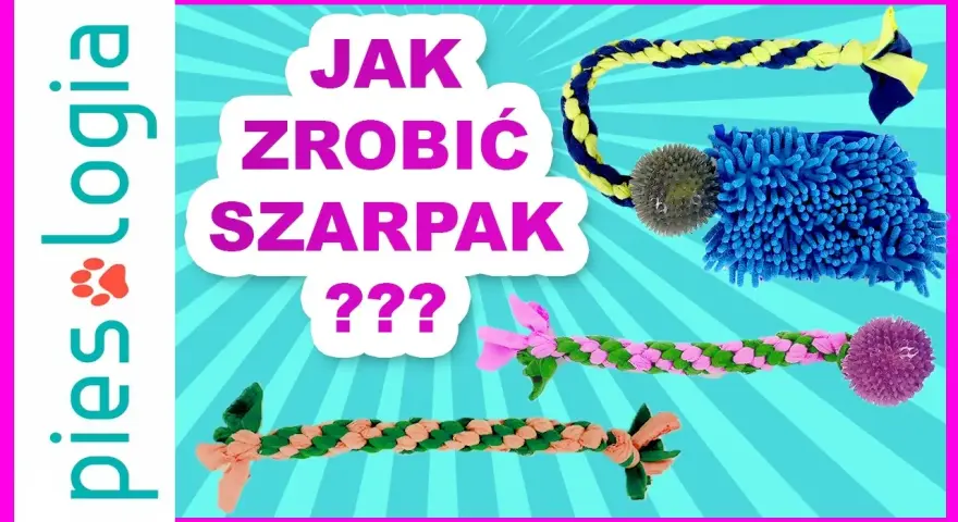 Jak zrobić szarpak dla psa ze sznurka, który przetrwa długie zabawy