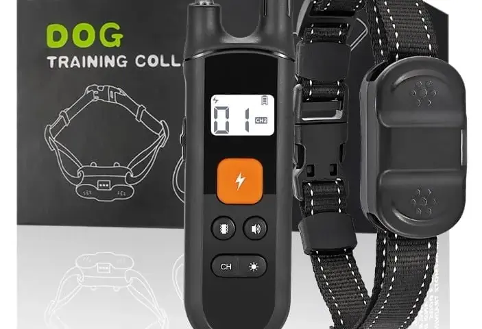 Jaka obroża elektryczna dla owczarka niemieckiego zapewni skuteczny trening?