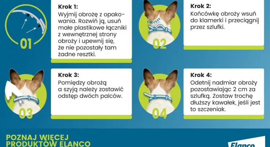 Jak działa obroża Foresto? Skuteczna ochrona przed pasożytami dla psa