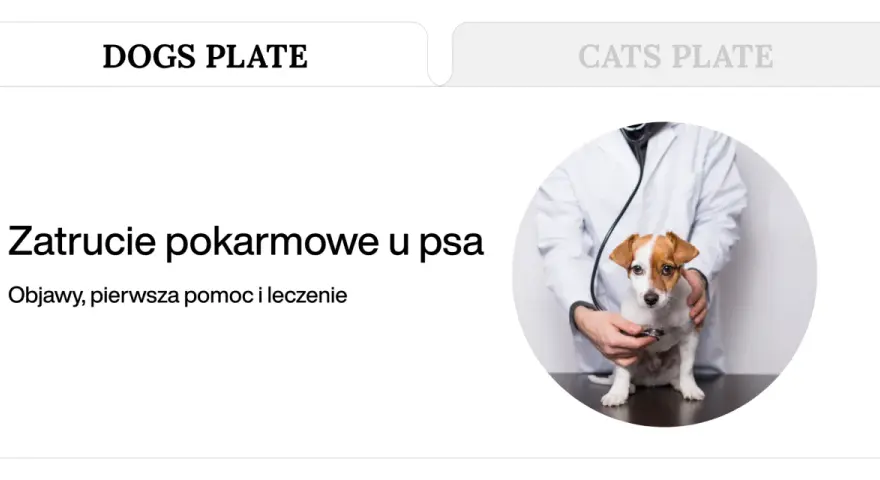 Weterynarz bada psa, który może mieć zatrucie pokarmowe. Tekst informuje o objawach, pierwszej pomocy i leczeniu.