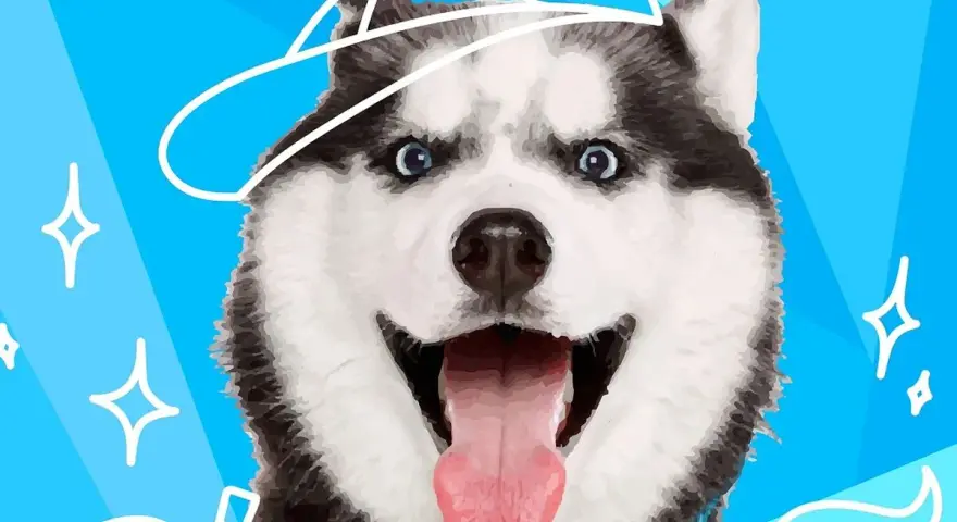 Uśmiechnięty husky w czapce z daszkiem. Ta rasa psa na e jest gotowa na przygodę, z niebieskimi oczami i wystawionym językiem.