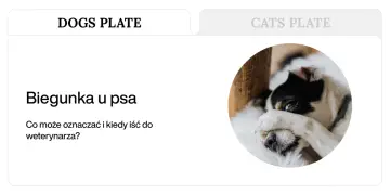 Chory piesek z zasłoniętymi oczami. Artykuł o biegunce i wymiotach u psa.
